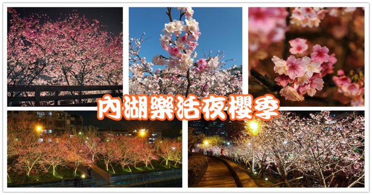 內湖樂活夜櫻季,樂活夜櫻季,內湖樂活公園,夜櫻,台北賞櫻景點,內湖賞櫻,內湖住宿推薦,內湖內溝溪,內湖景點推薦,東湖櫻花