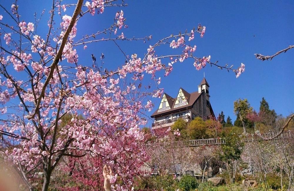 日初雲來莊園,清境農場,清境,清境民宿,清境住宿,清境民宿推薦平價,清境住宿推薦2022,清境住宿親子,清境網美民宿,清境特色民宿,清境民宿包棟,清境民宿推薦平價,清境民宿訂房,清境民宿推薦親子