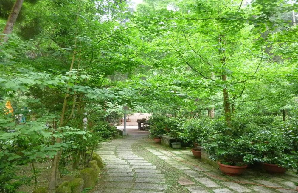 孟宗山莊大飯店,孟宗山莊,溪頭住宿推薦,溪頭飯店,溪頭民宿,妖怪村仕宿,妖怪村民宿,南投住宿推薦,溪頭民宿推薦,溪頭森林遊樂區,溪頭自然教育園區,妖怪村,妖怪村 住宿,溪頭親子住宿