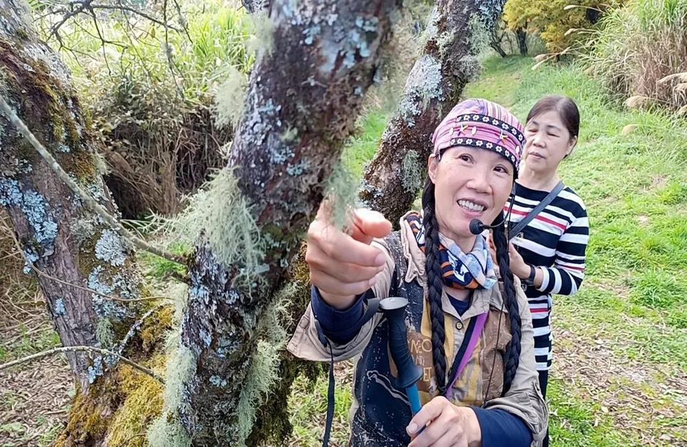 翠峰農場 卡爾小鎮天文教育園區,南投卡爾小鎮,南投露營推薦,南投寵物友善露營推薦,豪華露營,高海拔露營區,南投合歡山露營推薦,露營,露營區推薦,南投星空露營車推薦,懶人露營推薦,南投露營車推薦,新手露營推薦,星空導覽,生態導覽,星空露營車,星空夢幻帳, 平面營地