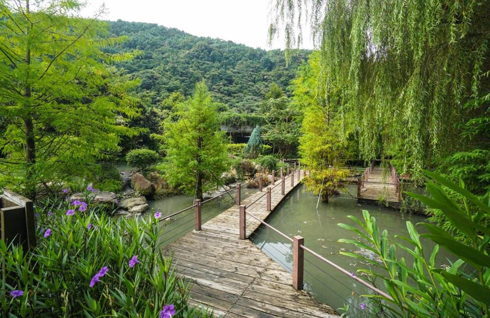 楓樺台一渡假村,台一生態休閒農場,南投埔里住宿推薦,埔里民宿推薦,埔里飯店推薦,埔里親子民宿,埔里親子住宿推薦,奧萬大森林遊樂區住宿,奧萬大森林遊樂區民宿,奧萬大住宿推薦,奧萬大民宿,清境農場住宿,清境農場附近的民宿