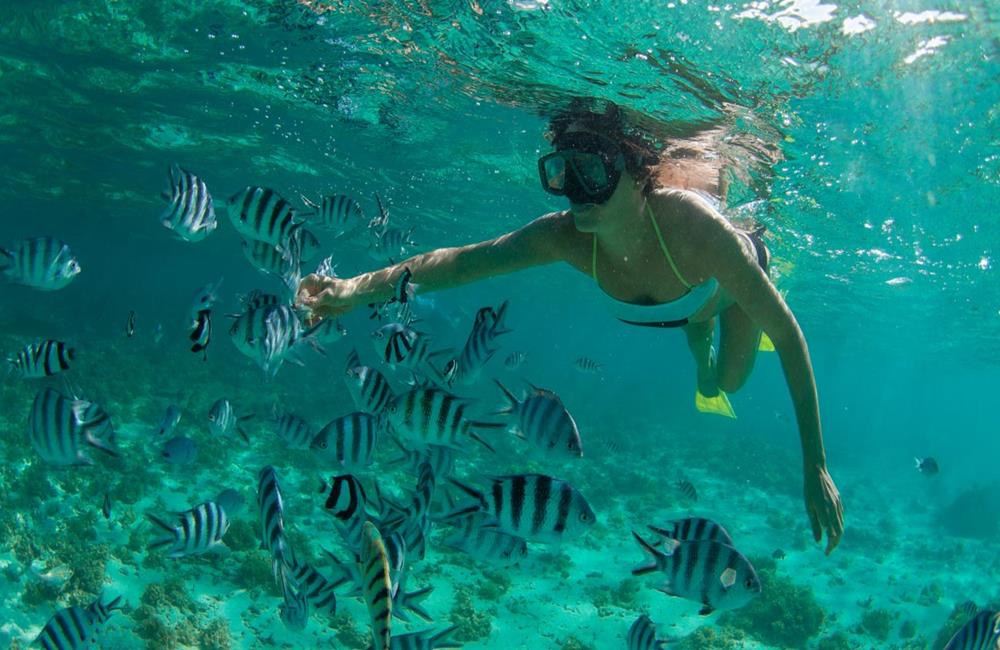 國旅券,澎湖花火節,澎湖國際海上花火節,澎湖行程推薦,澎湖景點,澎湖旅遊,澎湖景點推薦,澎湖水上活動,國旅券 澎湖,南方四島國家公園＆七美一日遊