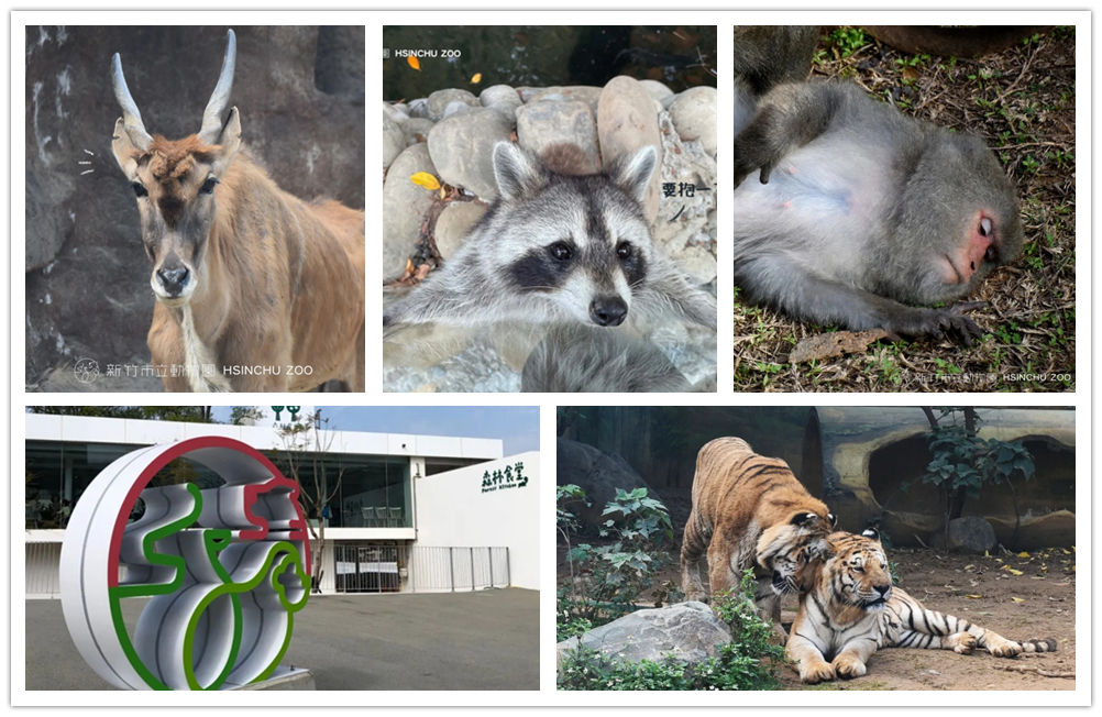 新竹市立動物園,桃竹苗親子景點,兒童景點,適合親子旅遊的地方,新竹親子景點