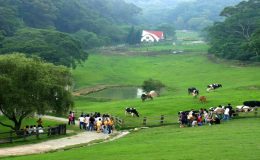 桃竹苗親子景點,室內親子景點,新竹親子景點,桃園親子景點,苗栗親子景點,親子景點,親子,桃園親子景點,苗栗親子景點,兒童景點,新竹室內親子景點,親子景點,新竹關西親子景點,桃竹苗親子農場,桃竹苗景點