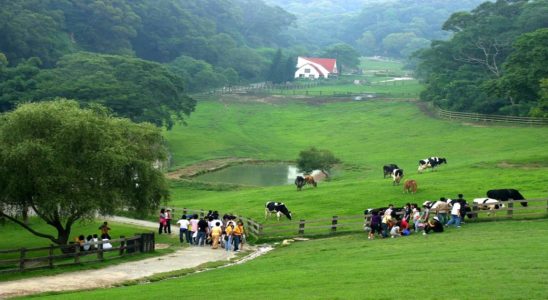 桃竹苗親子景點,室內親子景點,新竹親子景點,桃園親子景點,苗栗親子景點,親子景點,親子,桃園親子景點,苗栗親子景點,兒童景點,新竹室內親子景點,親子景點,新竹關西親子景點,桃竹苗親子農場,桃竹苗景點