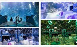 夜宿Xpark,Xpark,桃園Blu Night宿海奇遇・星級海洋系眠旅,x park水族館,水族館住宿,xpark門票,桃園水族館,桃園xpark,青埔水族館,xpark門票買一送一2022,xpark門票優惠,xpark住宿,xpark買一送一,桃園水族館飯店,桃園水族館票價,桃園水族館門票預購,klook,和逸飯店,xpark住宿親子,xpark住宿推薦,xpark水族館住宿,夜宿水族館,八景島水族館住宿