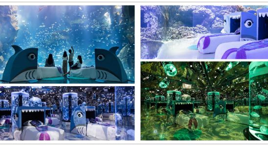 夜宿Xpark,Xpark,桃園Blu Night宿海奇遇・星級海洋系眠旅,x park水族館,水族館住宿,xpark門票,桃園水族館,桃園xpark,青埔水族館,xpark門票買一送一2022,xpark門票優惠,xpark住宿,xpark買一送一,桃園水族館飯店,桃園水族館票價,桃園水族館門票預購,klook,和逸飯店,xpark住宿親子,xpark住宿推薦,xpark水族館住宿,夜宿水族館,八景島水族館住宿