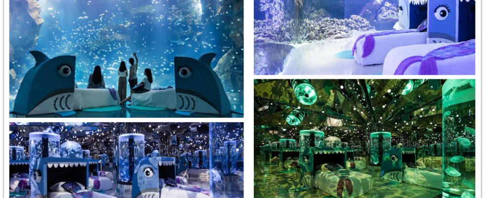 夜宿Xpark,Xpark,桃園Blu Night宿海奇遇・星級海洋系眠旅,x park水族館,水族館住宿,xpark門票,桃園水族館,桃園xpark,青埔水族館,xpark門票買一送一2022,xpark門票優惠,xpark住宿,xpark買一送一,桃園水族館飯店,桃園水族館票價,桃園水族館門票預購,klook,和逸飯店,xpark住宿親子,xpark住宿推薦,xpark水族館住宿,夜宿水族館,八景島水族館住宿