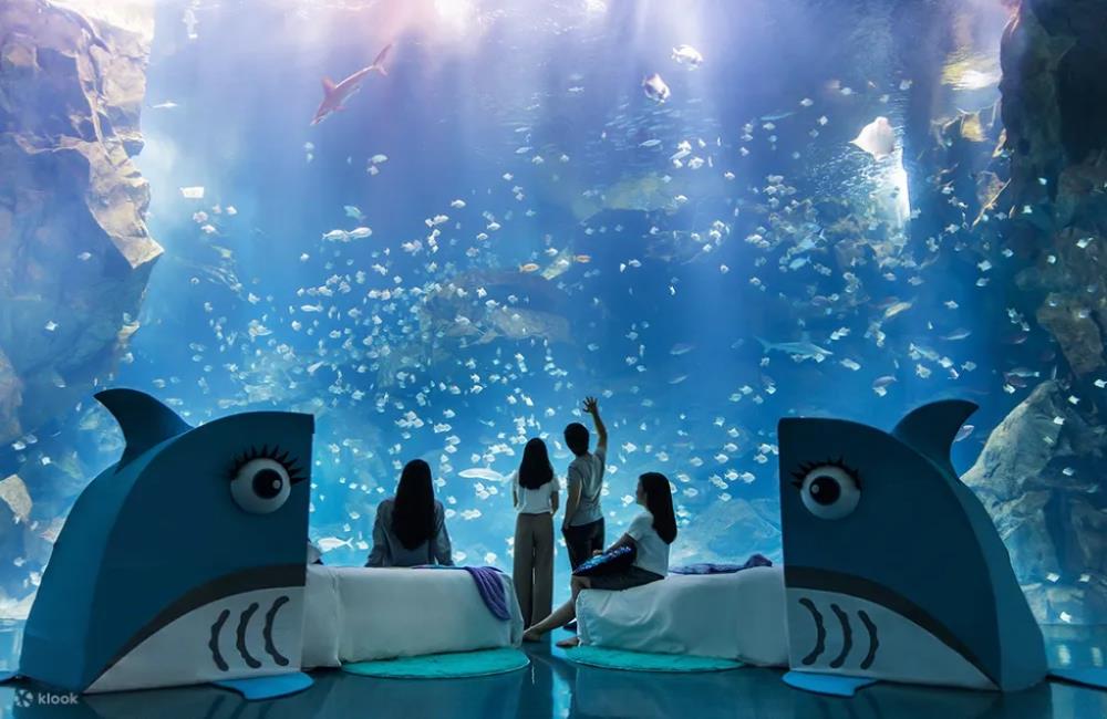 夜宿Xpark,Xpark,桃園Blu Night宿海奇遇・星級海洋系眠旅,x park水族館,水族館住宿,xpark門票,桃園水族館,桃園xpark,青埔水族館,xpark門票買一送一2022,xpark門票優惠,xpark住宿,xpark買一送一,桃園水族館飯店,桃園水族館票價,桃園水族館門票預購,klook,和逸飯店,xpark住宿親子,xpark住宿推薦,xpark水族館住宿,夜宿水族館,八景島水族館住宿