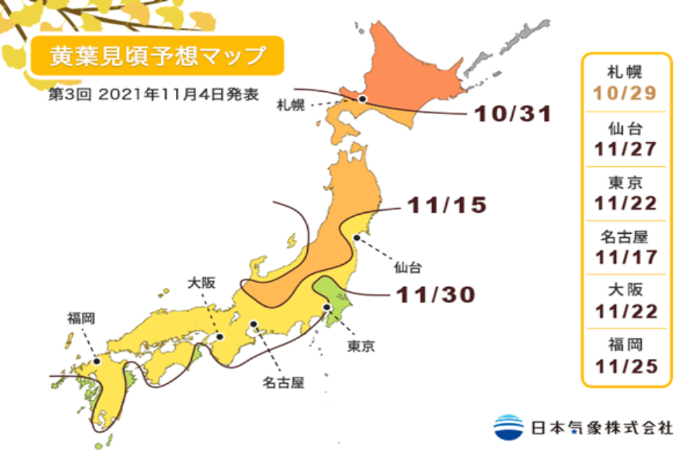 日本銀杏,東京銀杏景點,日本最大銀杏樹,銀杏前線,日本銀杏季節,東京銀杏,東京紅葉,楓樹,銀杏季節,東京賞楓,日本銀杏樹,東京銀杏時間,日本賞楓,日本楓葉季節,日本賞楓自由行,日本黃葉情報,日本黃葉排名,銀杏見頃時間