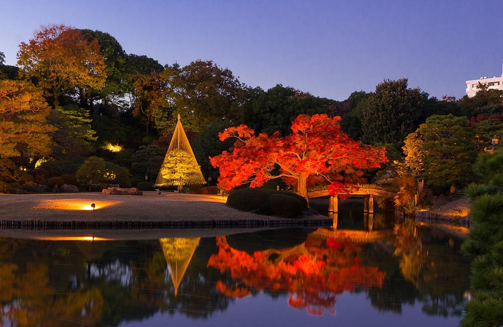 六義園,日本楓葉時間,關東楓葉,東京楓葉,日本賞楓,東京賞楓,日本賞楓時間,東京銀杏時間,日本賞楓自由行,東京賞楓景點