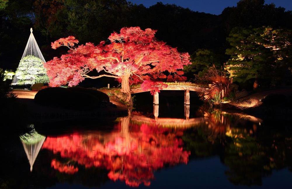 六義園,日本楓葉時間,關東楓葉,東京楓葉,日本賞楓,東京賞楓,日本賞楓時間,東京銀杏時間,日本賞楓自由行,東京賞楓景點