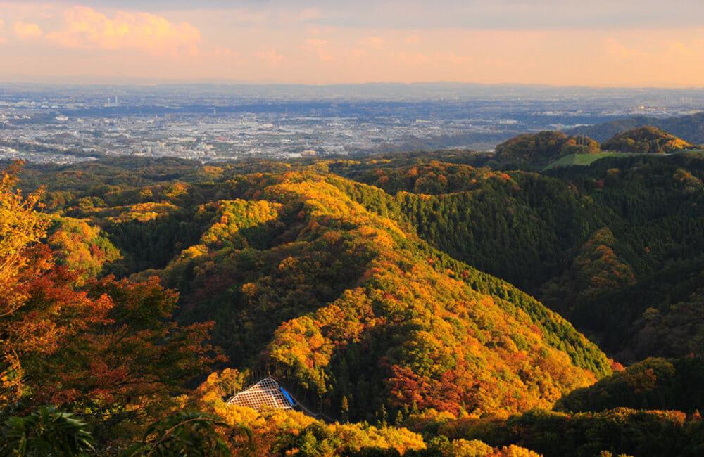 高尾山楓葉,高尾山,高尾山の紅葉,高尾山登山,高尾山一日遊,日本楓葉時間,關東楓葉,東京楓葉,日本賞楓,東京賞楓,日本賞楓時間,東京銀杏時間,日本賞楓自由行,東京賞楓景點