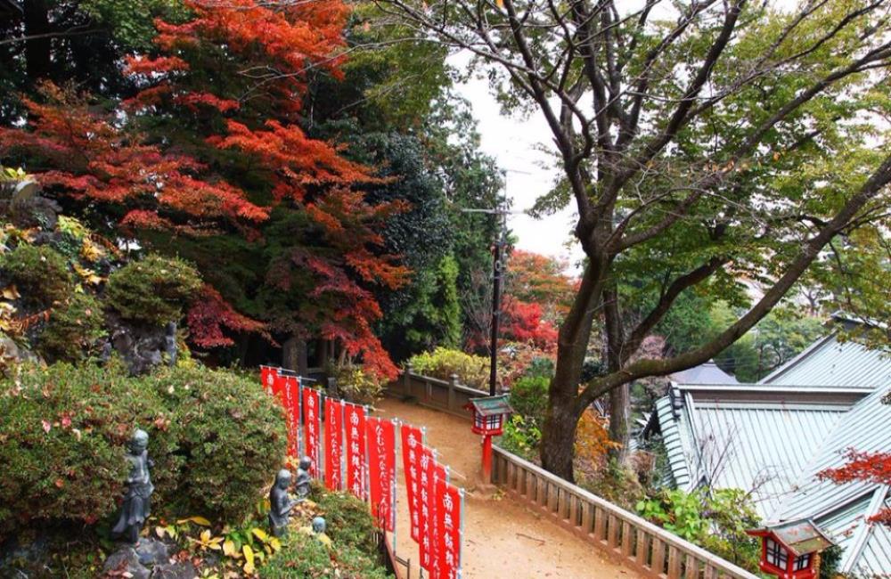 高尾山楓葉,高尾山,高尾山の紅葉,高尾山登山,高尾山一日遊,日本楓葉時間,關東楓葉,東京楓葉,日本賞楓,東京賞楓,日本賞楓時間,東京銀杏時間,日本賞楓自由行,東京賞楓景點