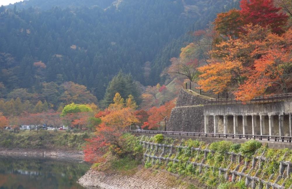 奧多摩湖,奧多摩紅葉,奧多摩湖,奧多摩,日本楓葉時間,關東楓葉,東京楓葉,日本賞楓,東京賞楓,日本賞楓時間,東京銀杏時間,日本賞楓自由行,東京賞楓景點