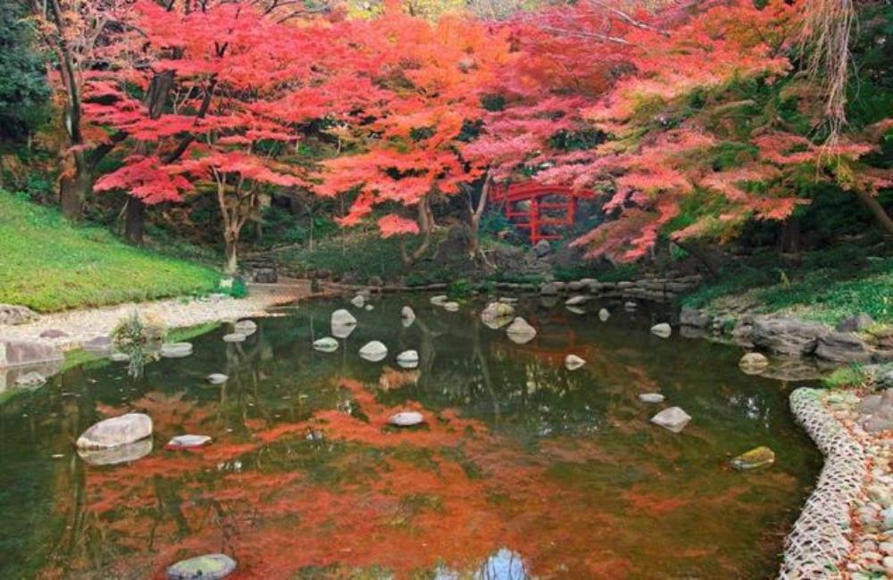 小石川後樂園,後樂園東京,日本楓葉時間,關東楓葉,東京楓葉,日本賞楓,東京賞楓,日本賞楓時間,東京銀杏時間,日本賞楓自由行,東京賞楓景點