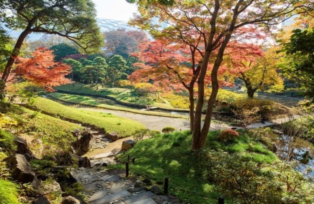 小石川後樂園,後樂園東京,日本楓葉時間,關東楓葉,東京楓葉,日本賞楓,東京賞楓,日本賞楓時間,東京銀杏時間,日本賞楓自由行,東京賞楓景點