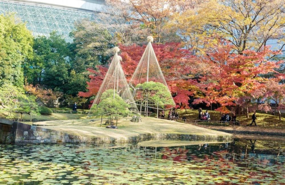 小石川後樂園,後樂園東京,日本楓葉時間,關東楓葉,東京楓葉,日本賞楓,東京賞楓,日本賞楓時間,東京銀杏時間,日本賞楓自由行,東京賞楓景點