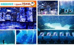 Xpark,桃園Xpark水族館門票,高鐵國旅聯票,xpark門票買一送一,xpark住宿,xpark門票買一送一2022,xpark門票優惠,xpark買一送一,高鐵,高鐵票價,台灣高鐵,高鐵訂票,高鐵自由座,高鐵站,高鐵優惠