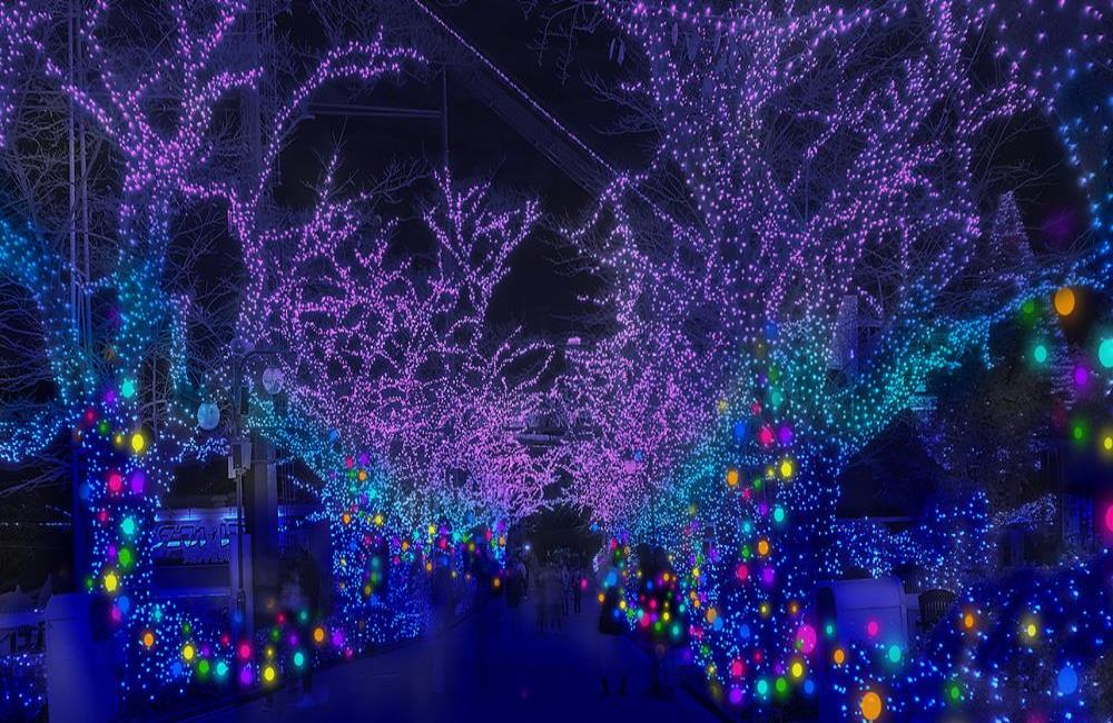 讀賣樂園,hana biyori,東京遊樂園,讀賣樂園交通,東京點燈,聖誕點燈,東京聖誕節,日本聖誕,東京景點推薦,東京自由行,日本自由行,日本旅遊,東京旅遊