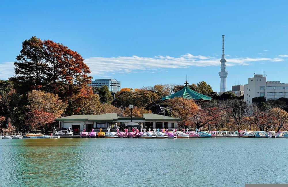 上野公園,上野美術館,上野公園櫻花,上野公園銅像,上野公園美術館,上野公園景點,上野親子飯店,上野 住宿,上野住宿,東京上野住宿,新宿飯店,淺草住宿,上野民宿,上野飯店推薦,上野飯店,上野 新飯店,上野駅,上野,上野車站,上野日本