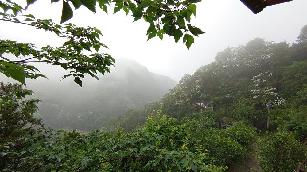 南庄山行寄野民宿,山行寄野,山行玫瑰,,山行玫瑰景觀咖啡廳,苗栗民宿推薦,苗栗南莊住宿,苗栗民宿,苗栗民宿包棟,苗栗特色民宿,苗栗民宿villa,苗栗親子民宿,苗栗森林民宿,南庄民宿,南庄小木屋民宿,苗栗南庄民宿推薦,山行寄野房型,山行寄野房價,山行寄野價位,桐花,油桐花,客家桐花祭住宿,苗栗桐花季民宿,苗栗油桐花季