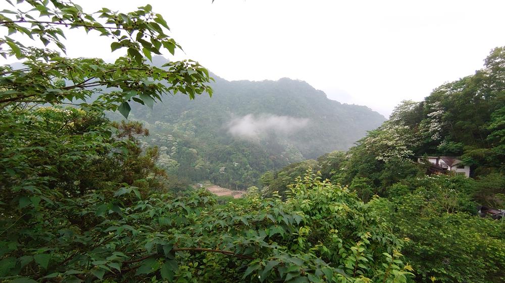 南庄山行寄野民宿,山行寄野,山行玫瑰,,山行玫瑰景觀咖啡廳,苗栗民宿推薦,苗栗南莊住宿,苗栗民宿,苗栗民宿包棟,苗栗特色民宿,苗栗民宿villa,苗栗親子民宿,苗栗森林民宿,南庄民宿,南庄小木屋民宿,苗栗南庄民宿推薦,山行寄野房型,山行寄野房價,山行寄野價位,桐花,油桐花,客家桐花祭住宿,苗栗桐花季民宿,苗栗油桐花季