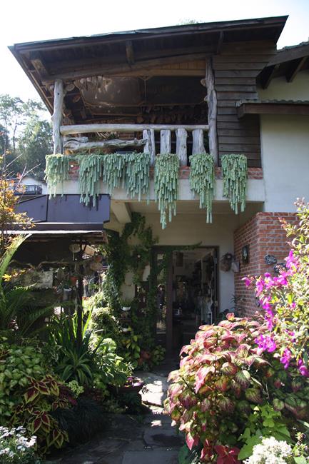 南庄山行寄野民宿,山行寄野,山行玫瑰,,山行玫瑰景觀咖啡廳,苗栗民宿推薦,苗栗南莊住宿,苗栗民宿,苗栗民宿包棟,苗栗特色民宿,苗栗民宿villa,苗栗親子民宿,苗栗森林民宿,南庄民宿,南庄小木屋民宿,苗栗南庄民宿推薦,山行寄野房型,山行寄野房價,山行寄野價位,桐花,油桐花,客家桐花祭住宿,苗栗桐花季民宿,苗栗油桐花季