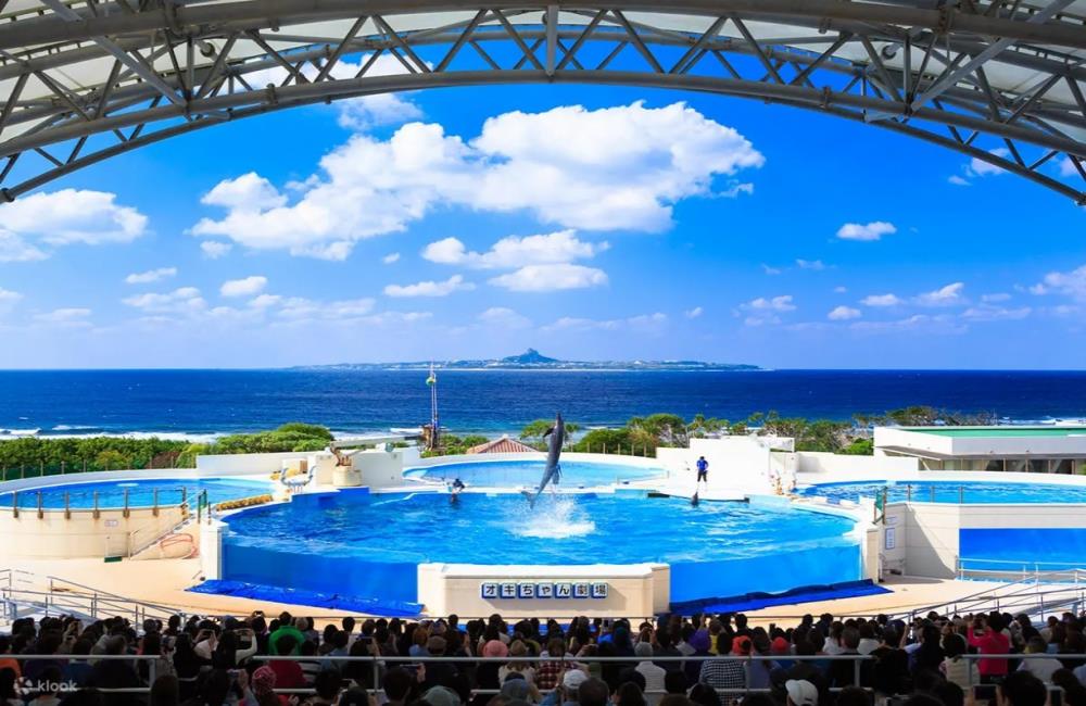 沖繩美麗海水族館,沖繩水族館,沖繩美麗海水族館門票,沖繩景點,沖繩美麗海水族館鯨鯊,沖繩美麗海水族館交通,沖繩美麗海水族館英文, 沖繩美麗海水族館地址,沖繩,沖繩自由行