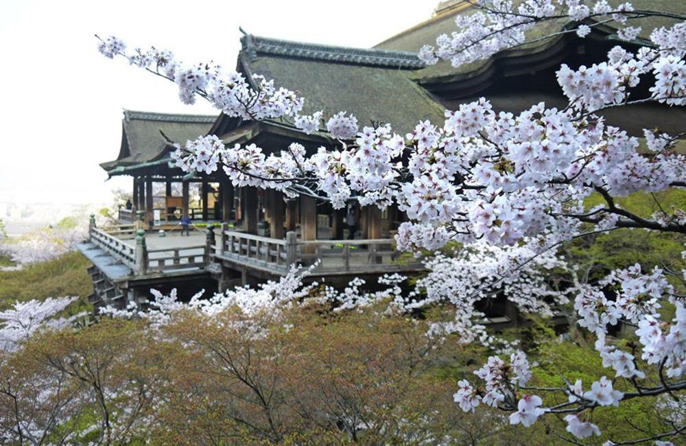 清水寺,清水寺官網,清水寺時間,清水寺日本,京都紅葉,清水寺特色,京都,京都景點,京都自由行,京都特色,京都旅行,京都私房景點,京都遊記,京都神社,京都市,京都一日遊,枯山水,京都廟宇,日本神社寺廟,京都世界遺產