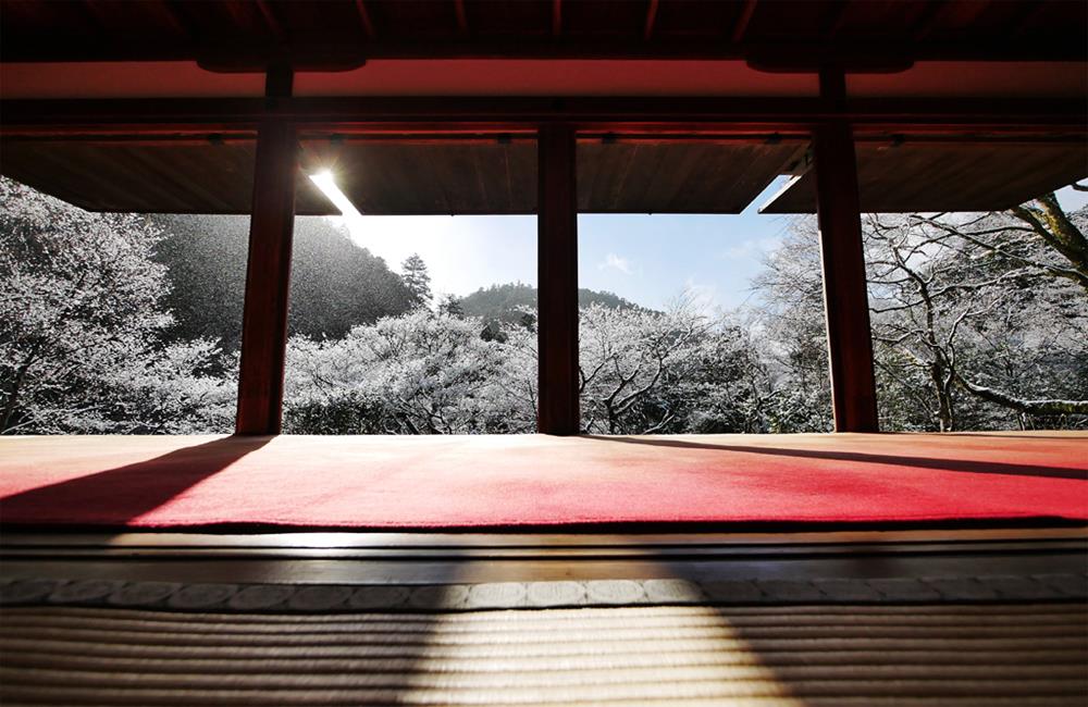 高台寺,高台寺紅葉,高台寺夜楓,高台寺夜景,京都,京都景點,京都自由行,京都特色,京都旅行,京都私房景點,京都遊記,京都神社,京都市,京都一日遊,京都廟宇,日本神社寺廟,京都世界遺產,寺廟,寺廟與神社