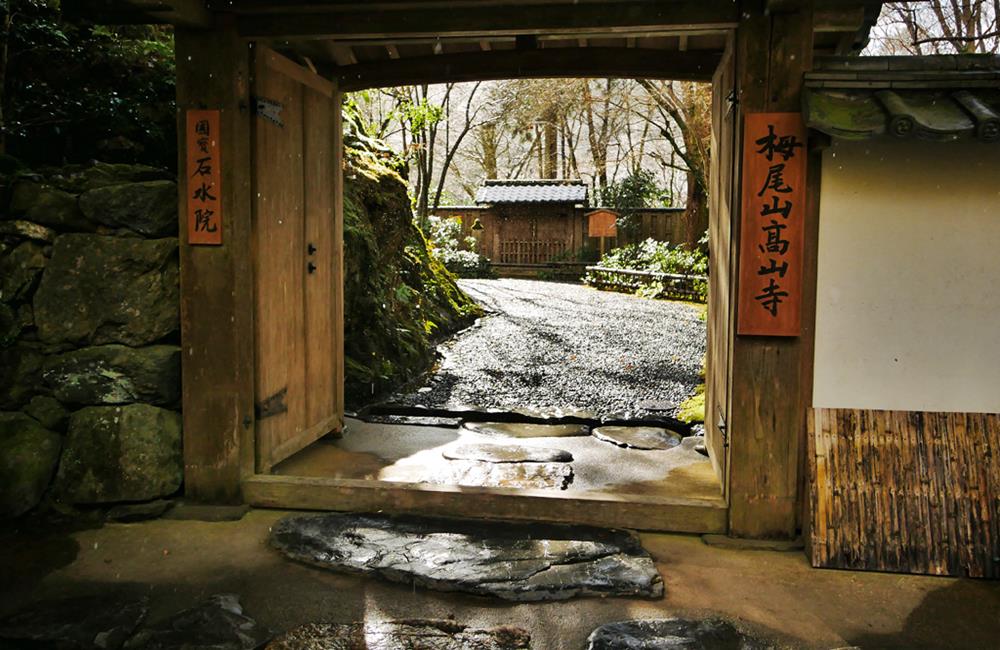 高台寺,高台寺紅葉,高台寺夜楓,高台寺夜景,京都,京都景點,京都自由行,京都特色,京都旅行,京都私房景點,京都遊記,京都神社,京都市,京都一日遊,京都廟宇,日本神社寺廟,京都世界遺產,寺廟,寺廟與神社