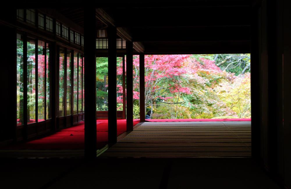 南禪寺,知恩院,南禪寺楓葉,南禪寺門票,南禪寺官網,南禪寺櫻花,南禪寺交通,京都,京都景點,京都自由行,京都特色,京都旅行,京都私房景點,京都遊記,京都神社,京都市,京都一日遊,京都廟宇,日本神社寺廟,京都世界遺產,寺廟,寺廟與神社