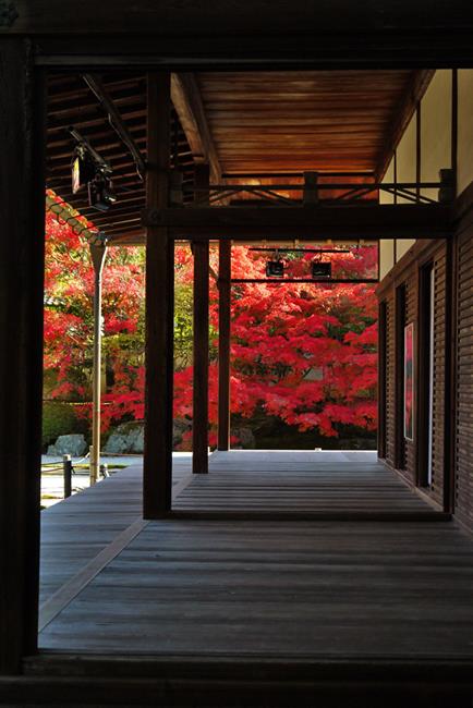 南禪寺,知恩院,南禪寺楓葉,南禪寺門票,南禪寺官網,南禪寺櫻花,南禪寺交通,京都,京都景點,京都自由行,京都特色,京都旅行,京都私房景點,京都遊記,京都神社,京都市,京都一日遊,京都廟宇,日本神社寺廟,京都世界遺產,寺廟,寺廟與神社