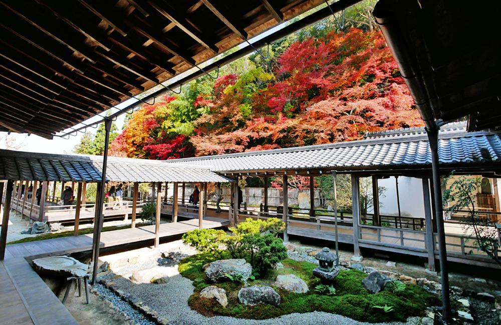 南禪寺,知恩院,南禪寺楓葉,南禪寺門票,南禪寺官網,南禪寺櫻花,南禪寺交通,京都,京都景點,京都自由行,京都特色,京都旅行,京都私房景點,京都遊記,京都神社,京都市,京都一日遊,京都廟宇,日本神社寺廟,京都世界遺產,寺廟,寺廟與神社