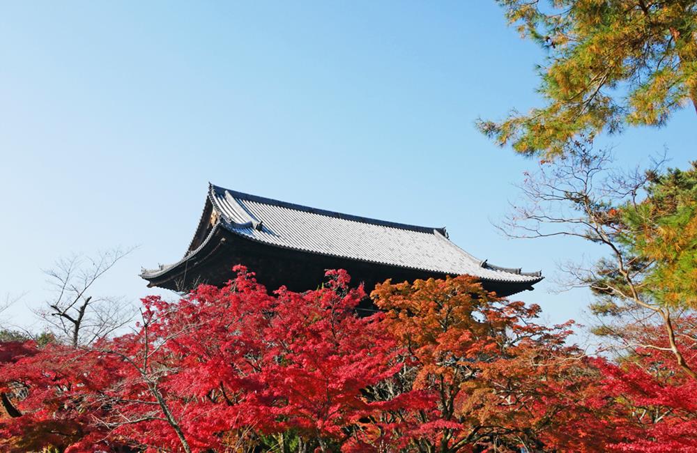 南禪寺,知恩院,南禪寺楓葉,南禪寺門票,南禪寺官網,南禪寺櫻花,南禪寺交通,京都,京都景點,京都自由行,京都特色,京都旅行,京都私房景點,京都遊記,京都神社,京都市,京都一日遊,京都廟宇,日本神社寺廟,京都世界遺產,寺廟,寺廟與神社