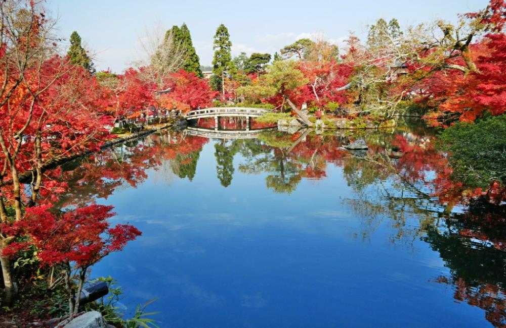 永觀堂,永觀堂楓葉,永觀堂官網,永觀堂阿彌陀佛,永觀堂紅葉,永觀堂交通,京都,京都景點,京都自由行,京都特色,京都旅行,京都私房景點,京都遊記,京都神社,京都市,京都一日遊,京都廟宇,日本神社寺廟,京都世界遺產,寺廟,寺廟與神社