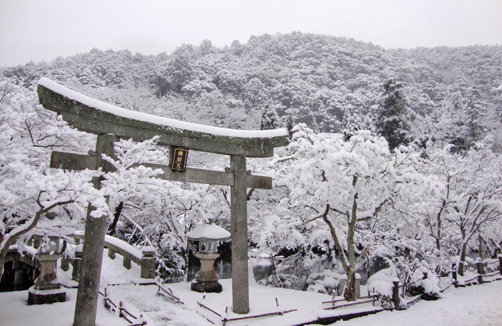 永觀堂,永觀堂楓葉,永觀堂官網,永觀堂阿彌陀佛,永觀堂紅葉,永觀堂交通,京都,京都景點,京都自由行,京都特色,京都旅行,京都私房景點,京都遊記,京都神社,京都市,京都一日遊,京都廟宇,日本神社寺廟,京都世界遺產,寺廟,寺廟與神社