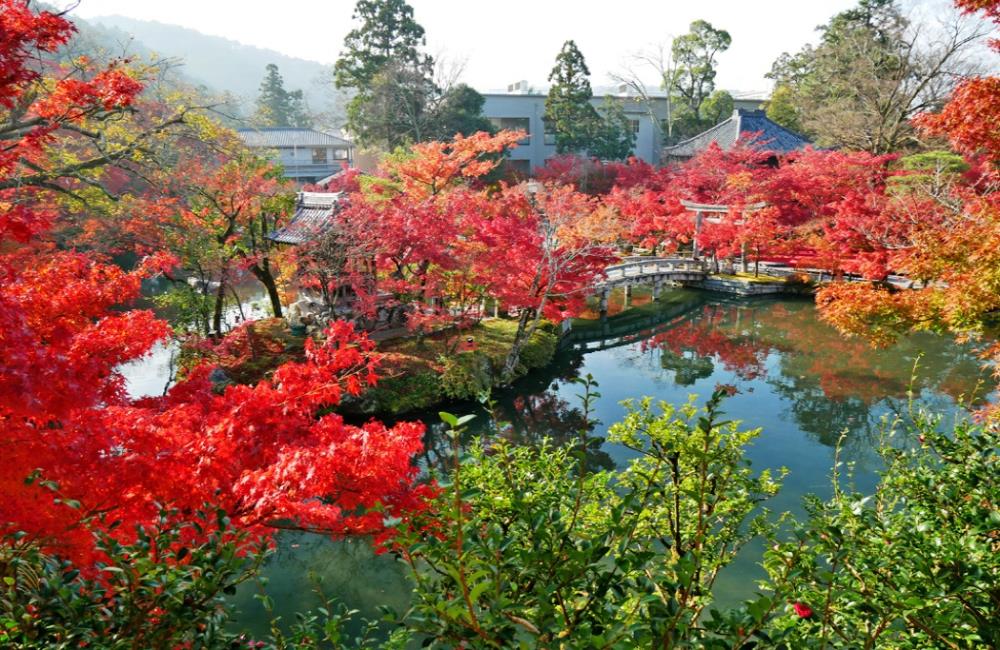 永觀堂,永觀堂楓葉,永觀堂官網,永觀堂阿彌陀佛,永觀堂紅葉,永觀堂交通,京都,京都景點,京都自由行,京都特色,京都旅行,京都私房景點,京都遊記,京都神社,京都市,京都一日遊,京都廟宇,日本神社寺廟,京都世界遺產,寺廟,寺廟與神社