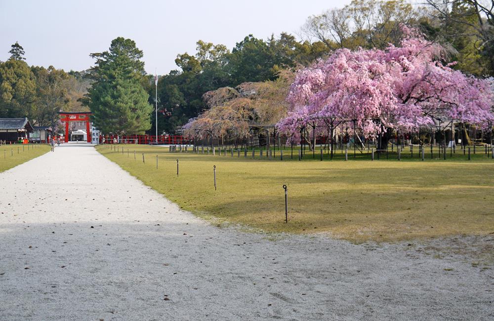 上賀茂神社,京都世界遺產,古都 京都,賀茂別雷神社,松尾大社,京都,京都景點,京都自由行,京都特色,京都旅行,京都私房景點,京都遊記,京都神社,京都市,京都一日遊,京都廟宇,日本神社寺廟,京都世界遺產,寺廟,寺廟與神社