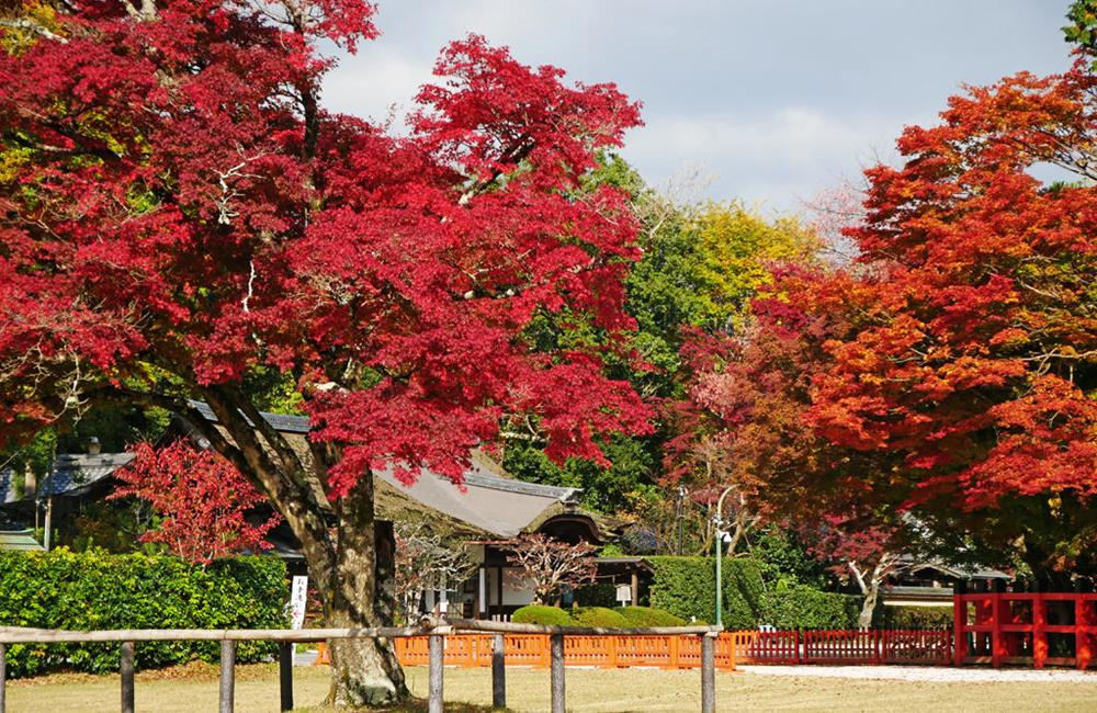 上賀茂神社,京都世界遺產,古都 京都,賀茂別雷神社,松尾大社,京都,京都景點,京都自由行,京都特色,京都旅行,京都私房景點,京都遊記,京都神社,京都市,京都一日遊,京都廟宇,日本神社寺廟,京都世界遺產,寺廟,寺廟與神社