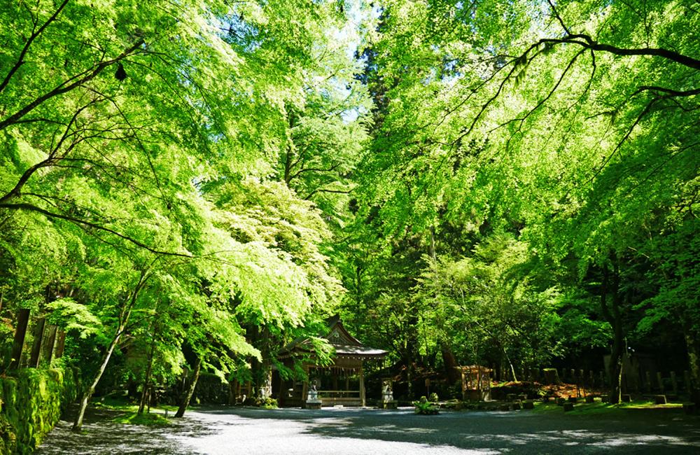 貴船神社,高台寺,上賀茂神社,賀茂別雷神社,貴船神社傳說,貴船神社官網,京都,京都景點,京都自由行,京都特色,京都旅行,京都私房景點,京都遊記,京都神社,京都市,京都一日遊,京都廟宇,日本神社寺廟,京都世界遺產,寺廟,寺廟與神社