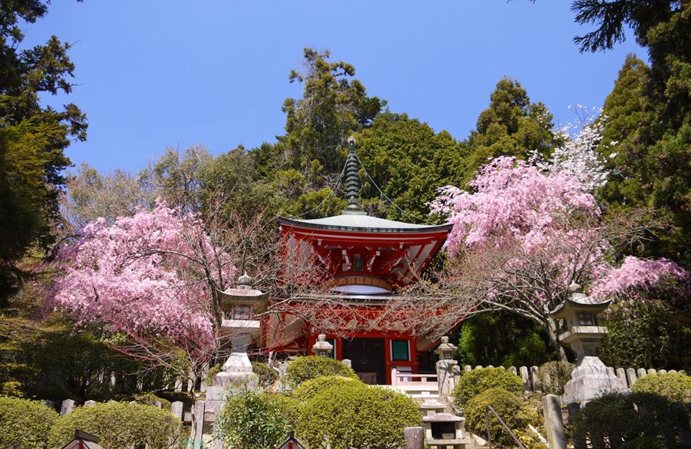 鞍馬寺,鞍馬山,鞍馬貴船,鞍馬寺天狗,鞍馬寺纜車,鞍馬山靈氣,鞍馬寺交通,京都,京都景點,京都自由行,京都特色,京都旅行,京都私房景點,京都遊記,京都神社,京都市,京都一日遊,京都廟宇,日本神社寺廟,京都世界遺產,寺廟,寺廟與神社