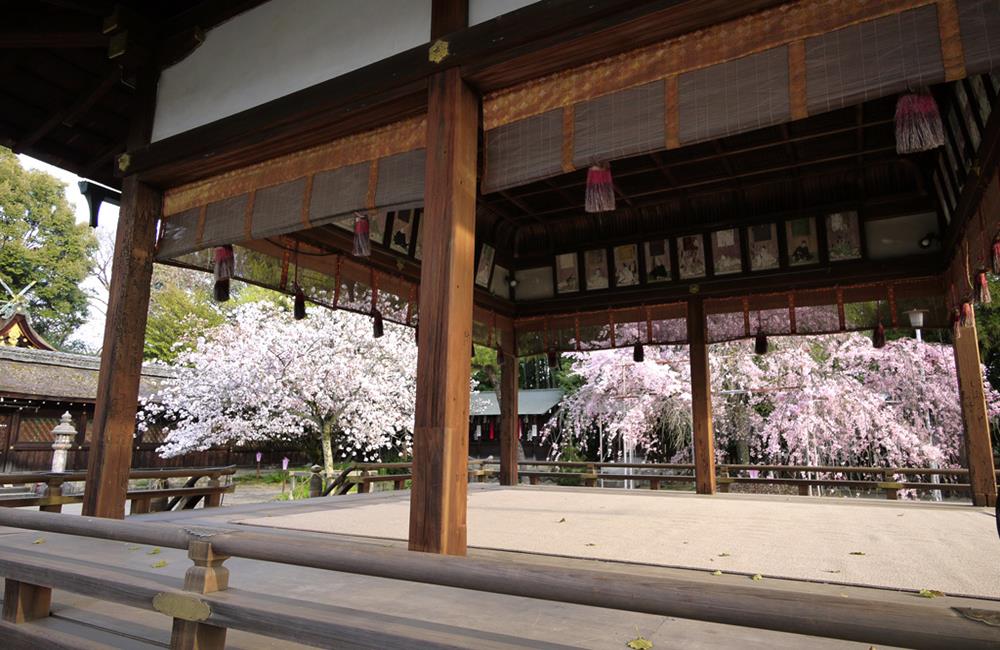 平野神社,金閣寺,平野神社,京都,京都景點,京都自由行,京都神社,京都廟宇,日本神社寺廟,京都世界遺產,寺廟,寺廟與神社,日本三大神宮,京都一日遊,京都特色,京都旅行,京都私房景點