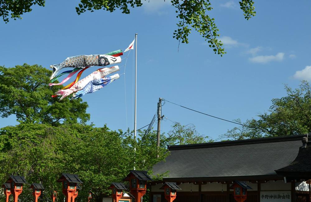 平野神社,金閣寺,平野神社,京都,京都景點,京都自由行,京都神社,京都廟宇,日本神社寺廟,京都世界遺產,寺廟,寺廟與神社,日本三大神宮,京都一日遊,京都特色,京都旅行,京都私房景點