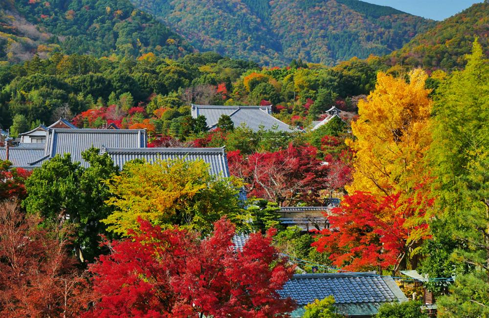 嵐山,嵐山渡月橋,嵐山竹林,嵐山日本,嵐山交通,嵐山紅葉,天龍寺,天龍寺門票,天龍寺天龍八部,天龍寺紅葉,京都,京都景點,京都自由行,京都神社,京都廟宇,日本神社寺廟,京都世界遺產,寺廟,寺廟與神社,日本三大神宮,京都一日遊,京都特色,京都旅行,京都私房景點