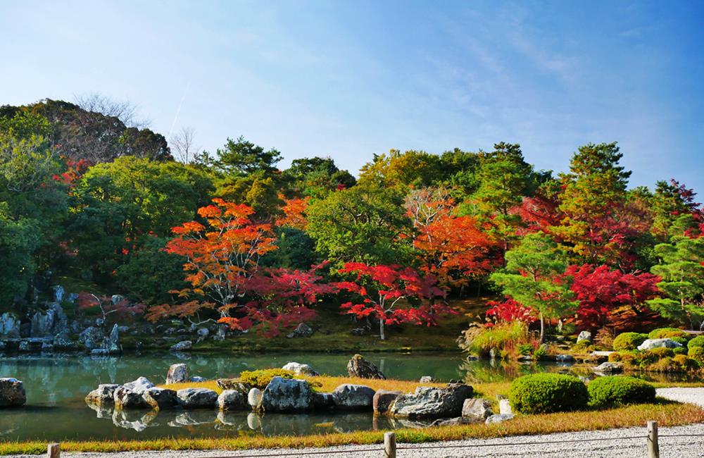 嵐山,嵐山渡月橋,嵐山竹林,嵐山日本,嵐山交通,嵐山紅葉,天龍寺,,京都,京都景點,京都自由行,京都神社,京都廟宇,日本神社寺廟,京都世界遺產,寺廟,寺廟與神社,日本三大神宮,京都一日遊,京都特色,京都旅行,京都私房景點天龍寺門票,天龍寺天龍八部,天龍寺紅葉