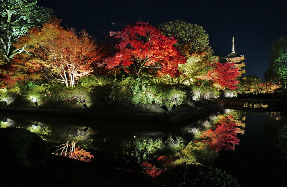 東寺,東寺五重塔,東寺市集,東寺 櫻花,京都,京都景點,京都自由行,京都神社,京都廟宇,日本神社寺廟,京都世界遺產,寺廟,寺廟與神社,日本三大神宮,京都一日遊,京都特色,京都旅行,京都私房景點