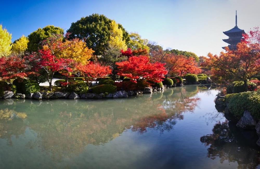 東寺,東寺五重塔,東寺市集,東寺 櫻花,京都,京都景點,京都自由行,京都神社,京都廟宇,日本神社寺廟,京都世界遺產,寺廟,寺廟與神社,日本三大神宮,京都一日遊,京都特色,京都旅行,京都私房景點