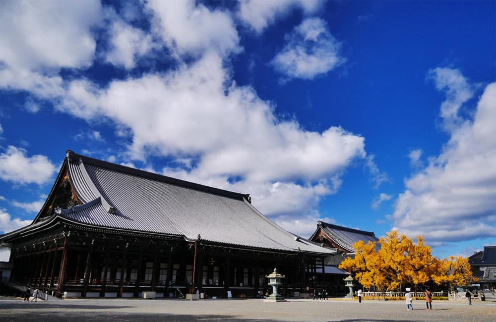 西本願寺,西本願寺京都,西本願寺日本,吹水銀杏,西本願寺銀杏,西本願寺官網,京都,京都景點,京都自由行,京都神社,京都廟宇,日本神社寺廟,京都世界遺產,寺廟,寺廟與神社,日本三大神宮,京都一日遊,京都特色,京都旅行,京都私房景點